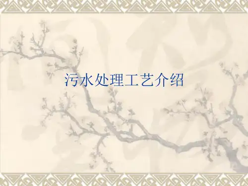 污水处理工艺介绍ppt课件