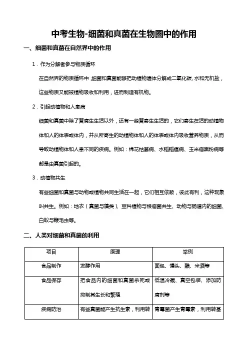中考生物-细菌和真菌在生物圈中的作用