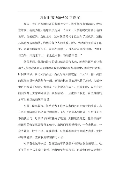 农忙时节600-800字作文