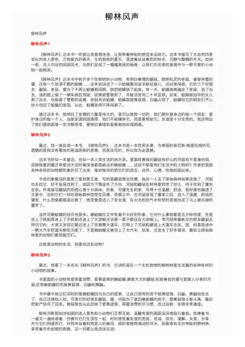柳林风声——精选推荐
