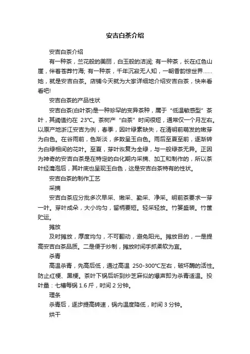 安吉白茶介绍