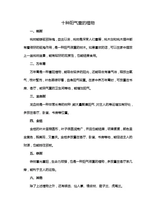 十种阳气重的植物