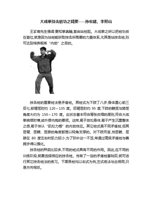 大成拳技击桩功之精要----孙宏建、李照山