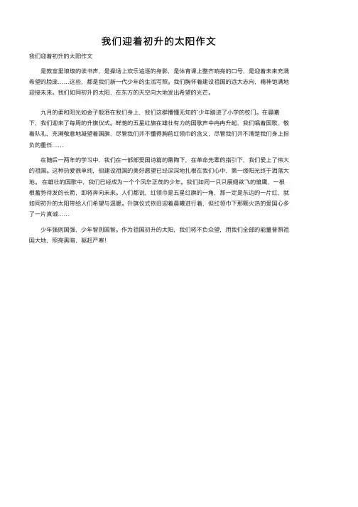 我们迎着初升的太阳作文