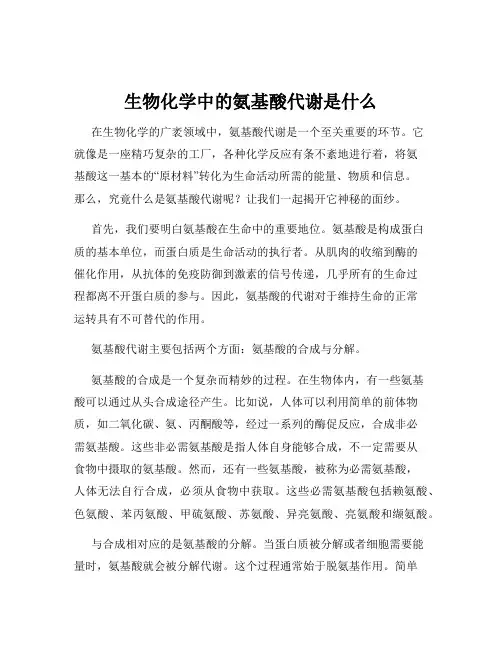 生物化学中的氨基酸代谢是什么