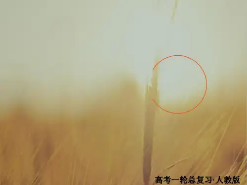 2018版高考一轮总复习英语课件：1-5-5必修5Unit 5 First aid 精品