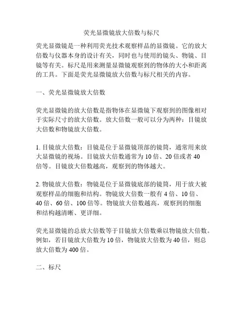 荧光显微镜放大倍数与标尺