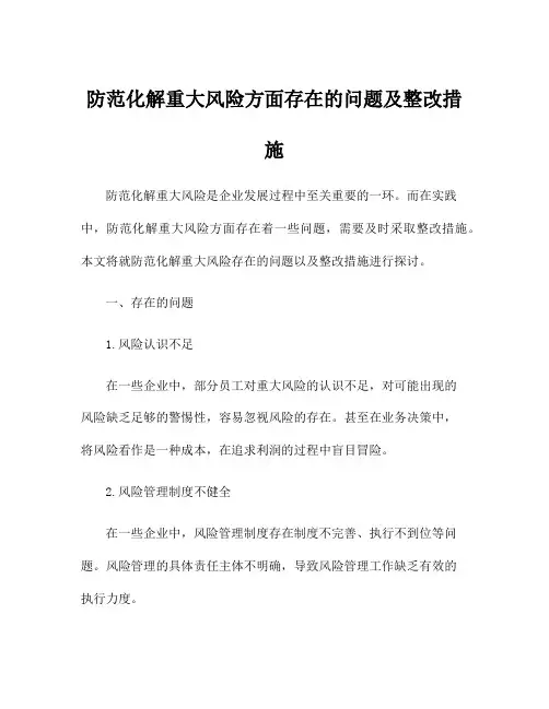 防范化解重大风险方面存在的问题及整改措施