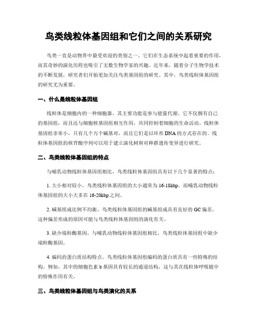 鸟类线粒体基因组和它们之间的关系研究