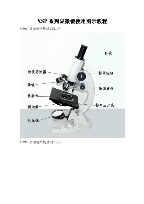 XSP显微镜使用图示教程