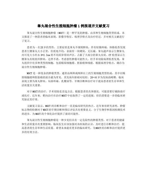 睾丸混合性生殖细胞肿瘤1例报道并文献复习