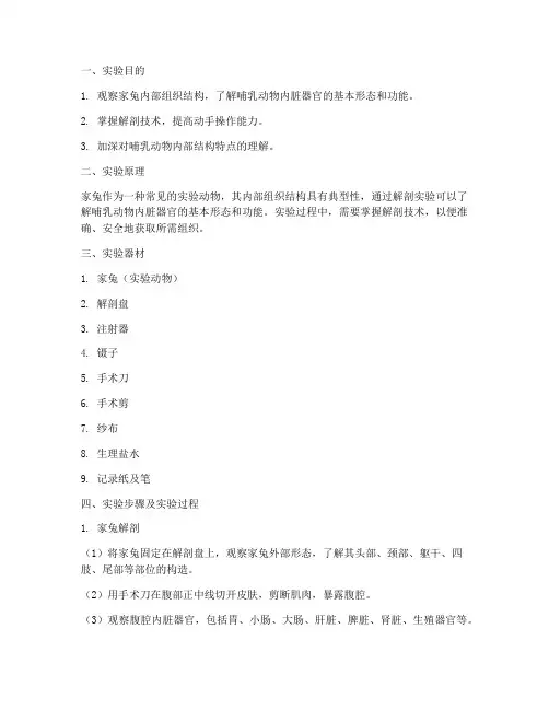 家兔内部组织实验报告