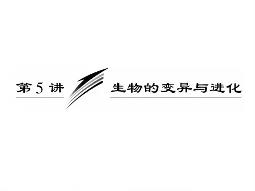 53生物的变异与进化PPT课件