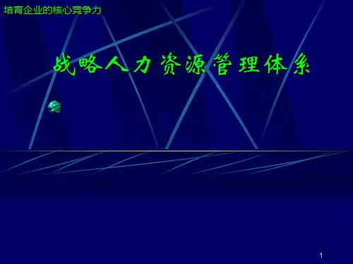 建立战略人力资源管理体系PPT课件