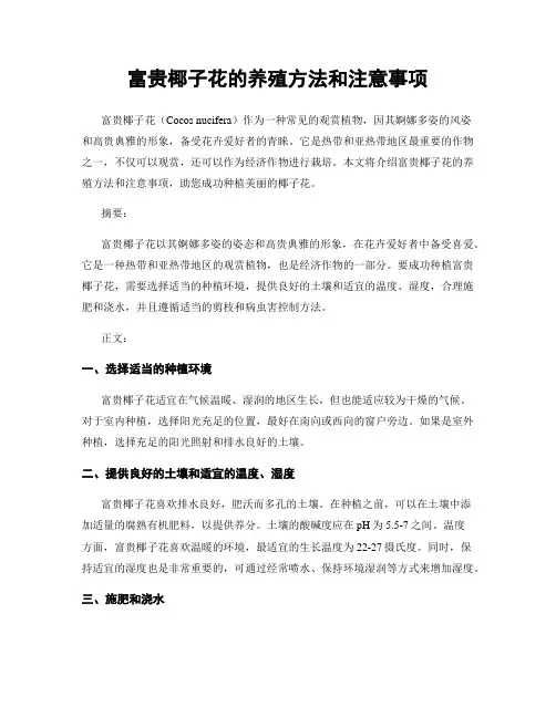 富贵椰子花的养殖方法和注意事项