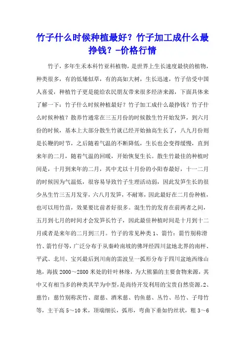 竹子什么时候种植最好？竹子加工成什么最挣钱？ - 价格行情