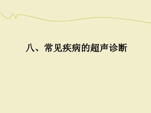 腹部常见病的超声诊断ppt课件(1)【可修改文字】