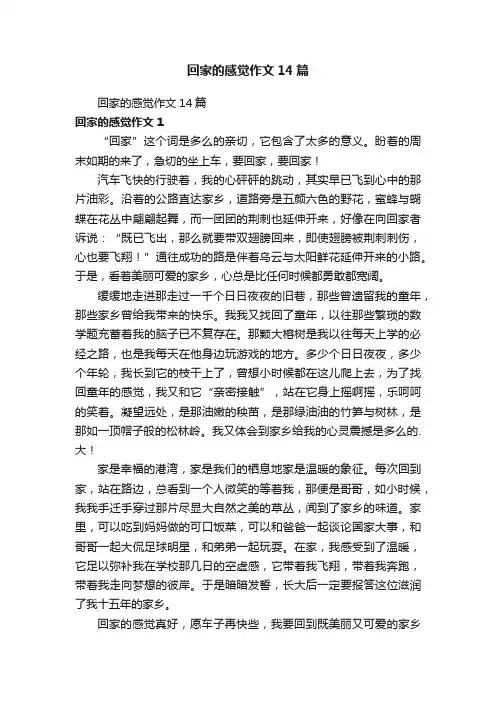 回家的感觉作文14篇