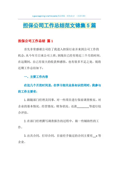 2021年担保公司工作总结范文锦集5篇