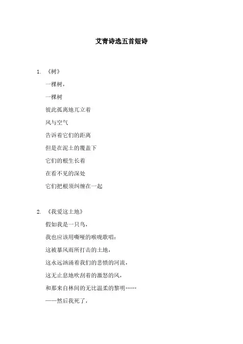 艾青诗选五首短诗