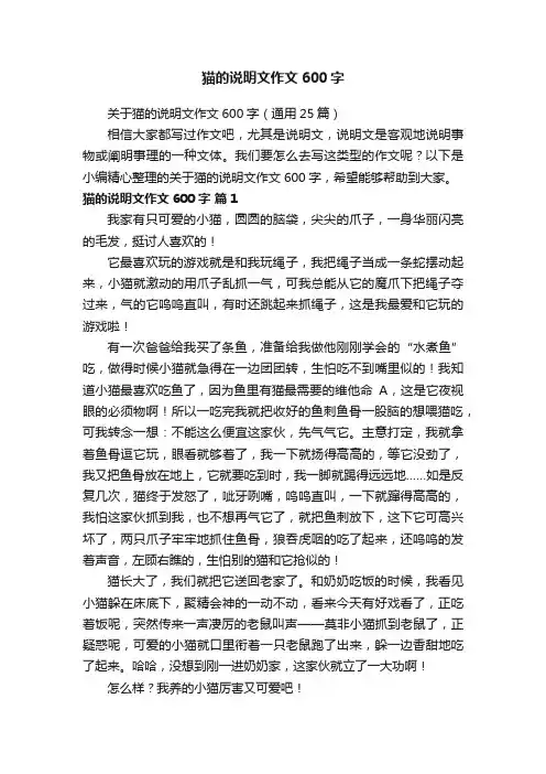 关于猫的说明文作文600字（通用25篇）