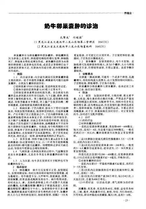 奶牛卵巢囊肿的诊治