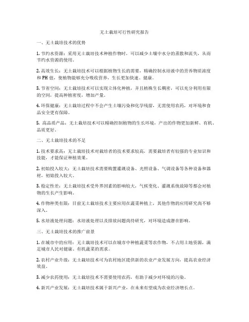 无土栽培可行性研究报告