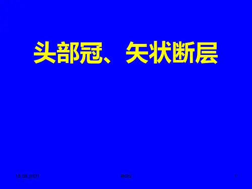 断层解剖头部冠、矢状断层1