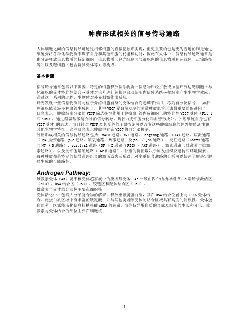 肿瘤信号传导通路