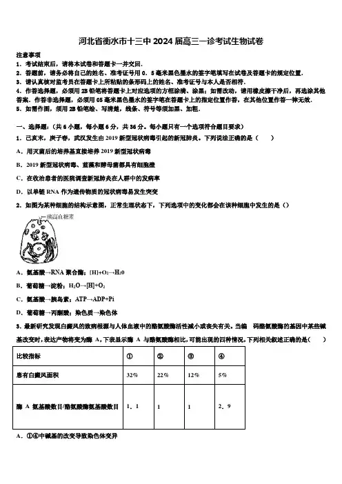 河北省衡水市十三中2024届高三一诊考试生物试卷含解析