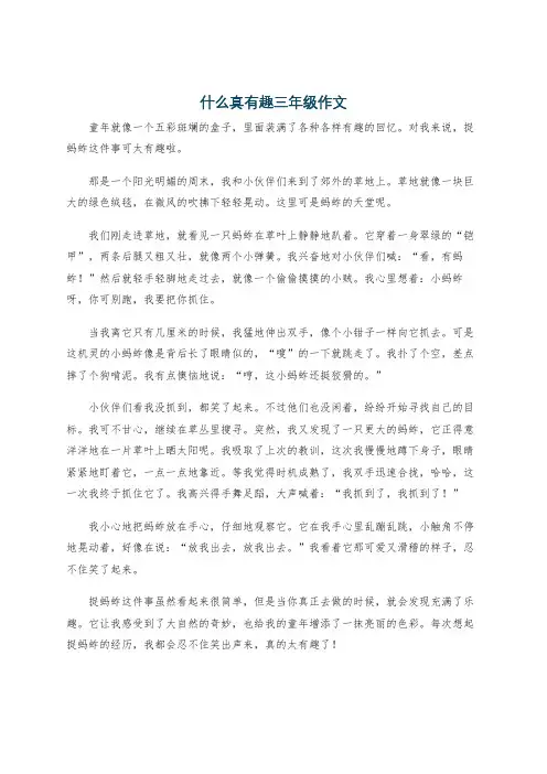 什么真有趣三年级作文