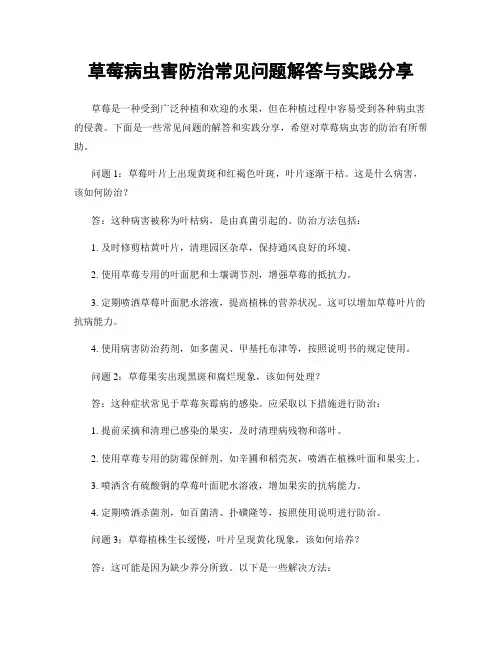 草莓病虫害防治常见问题解答与实践分享