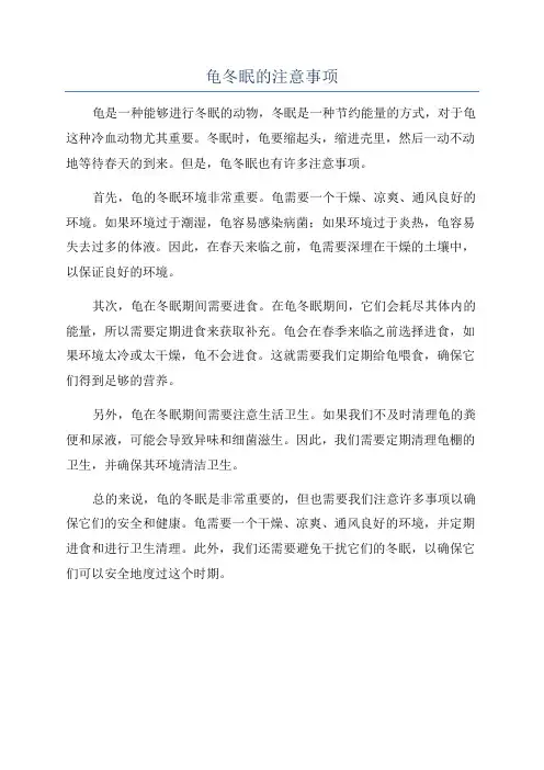龟冬眠的注意事项
