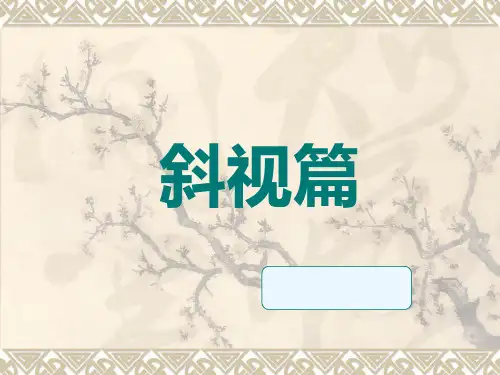 斜视篇