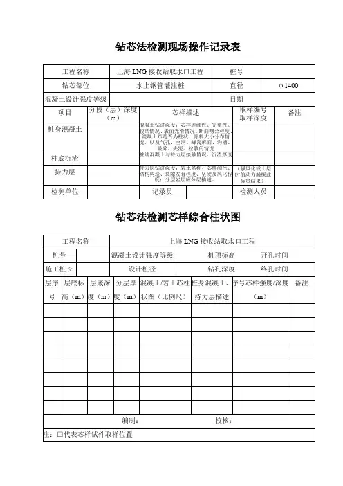 钻芯法检测芯样编录表