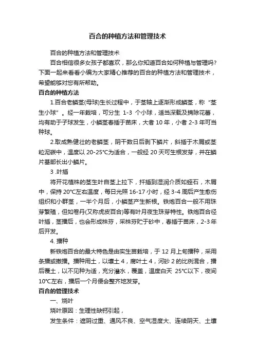 百合的种植方法和管理技术