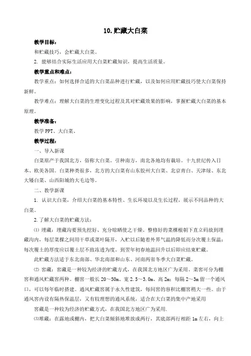 贮藏大白菜(教案)小学劳动六年级上册(人教版)