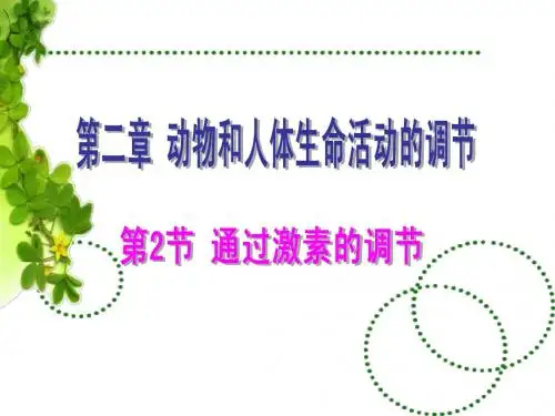 动物激素调节