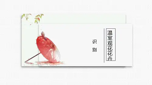 花卉生产技术：识别——温室观花花卉