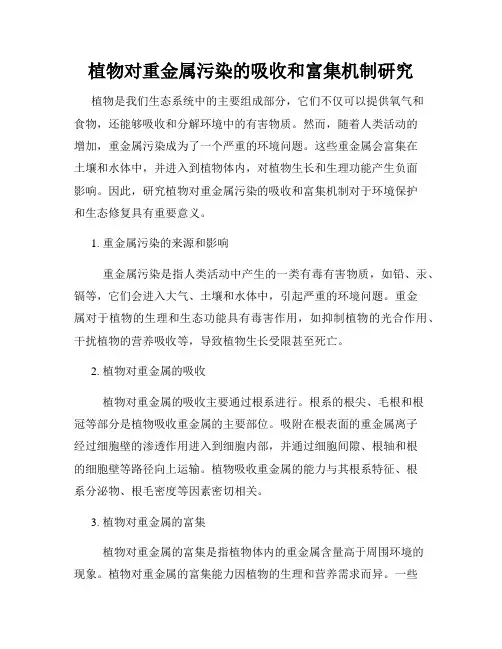 植物对重金属污染的吸收和富集机制研究