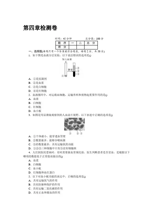 (新)人教版生物七年级下册第四章  检测卷及答案