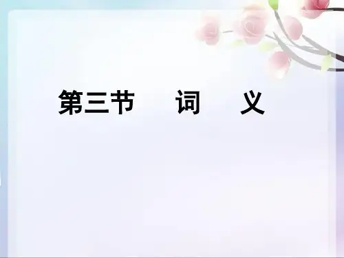 现代汉语第三节词义