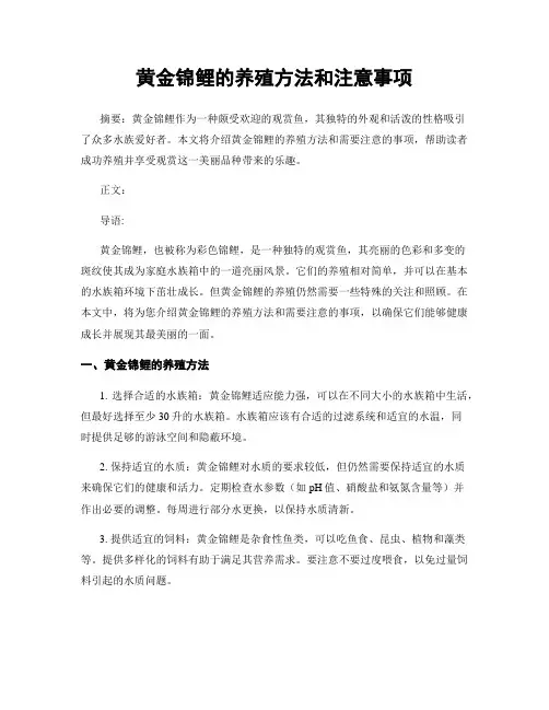 黄金锦鲤的养殖方法和注意事项