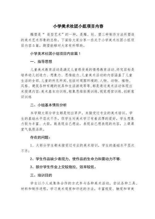 小学美术社团小组项目内容