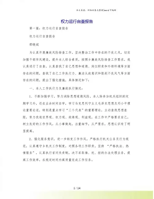 权力运行自查报告