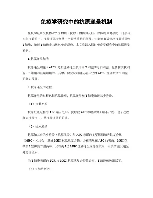 免疫学研究中的抗原递呈机制