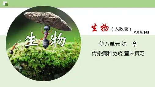 第八单元第1章 传染病和免疫(复习课件)2022-2023学年八年级下册生物单元复习一遍过(人教版)