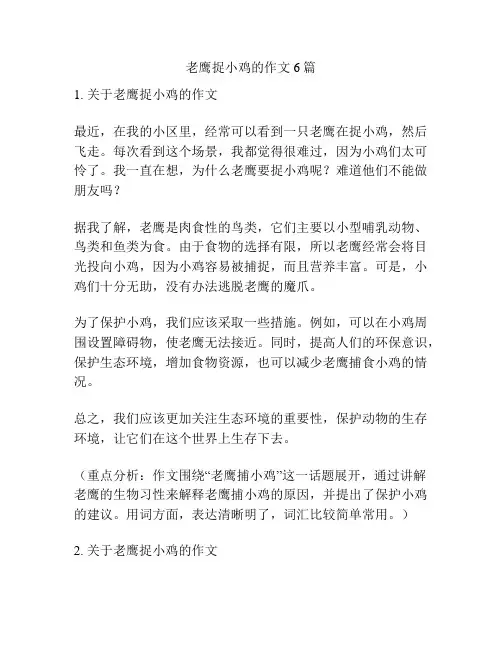 老鹰捉小鸡的作文6篇