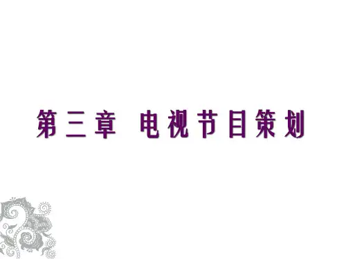 电视节目编导与制作 第三章 电视节目策划