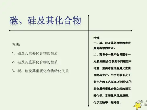 全国通用 高考化学复习 9碳硅及其化合物28